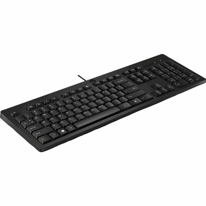 Clavier filaire HP 125 / QWERTY