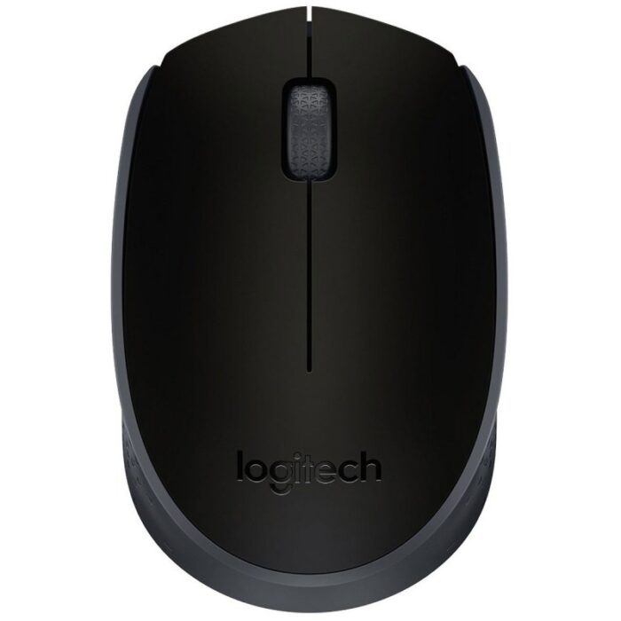 Souris Sans Fil Logitech M171