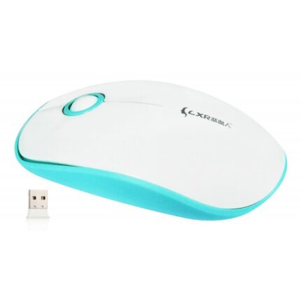 Souris Sans Fil R7 / Blanc