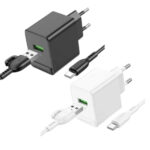 Chargeur Rapide BOROFONE BAS12A TYPE-C