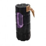 Speaker iconix bluetooth IC-BS1355